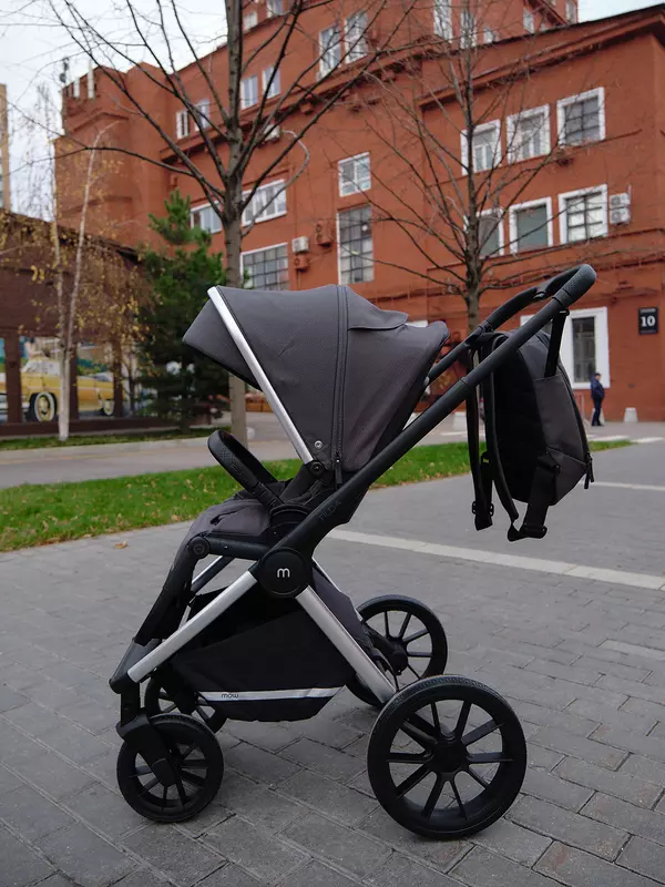 Коляска 2 в 1 Mowbaby Tilda Carbon