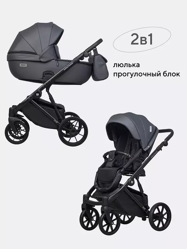 Коляска 2 в 1 Riko Basic Montana Ecco 24 Graphite