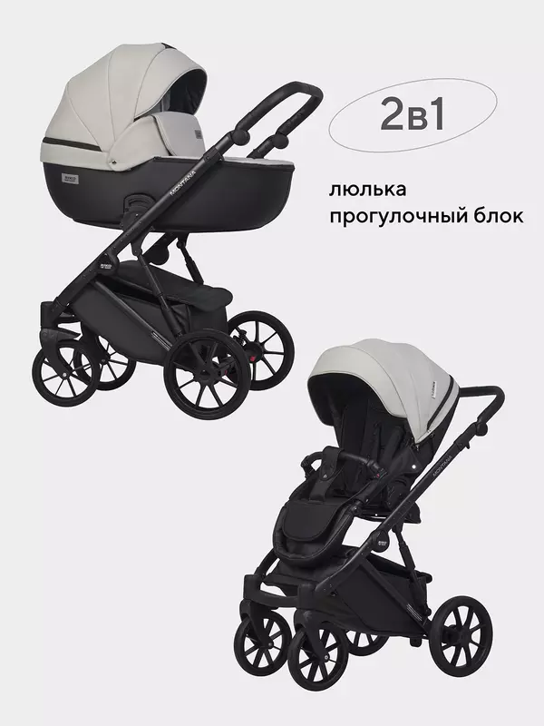 Коляска 2 в 1 Riko Basic Montana Ecco 31 Light Silver-Black